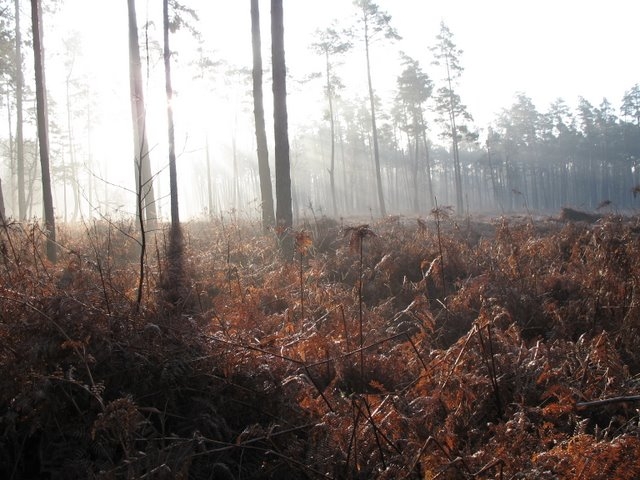 2007 02 Sortie traces 19